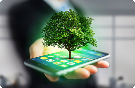 Eco-Friendly Disposal